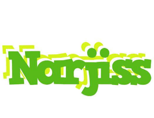 Narjiss picnic logo