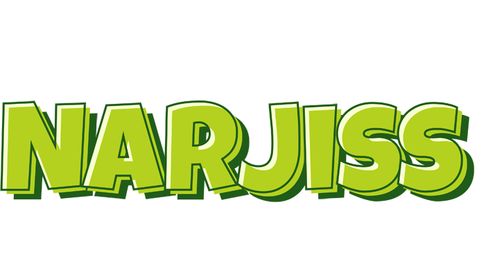 Narjiss summer logo