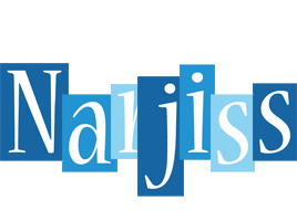 Narjiss winter logo