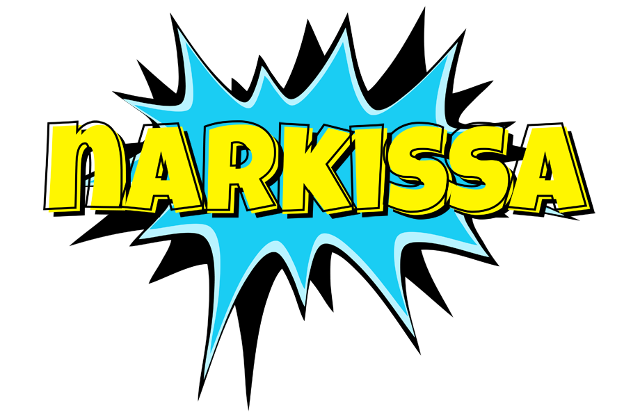 Narkissa amazing logo