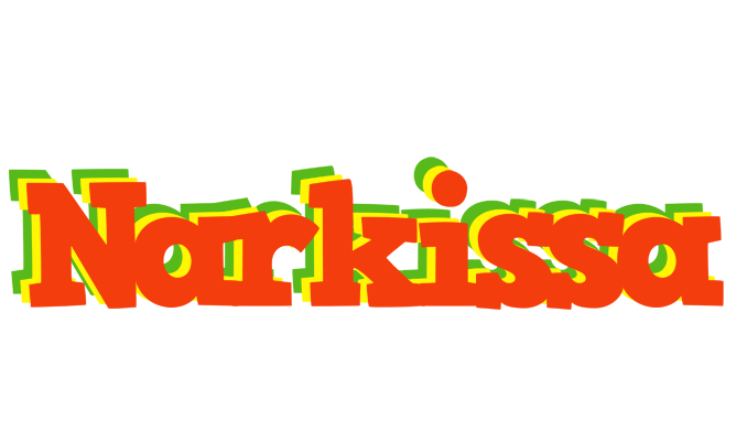 Narkissa bbq logo