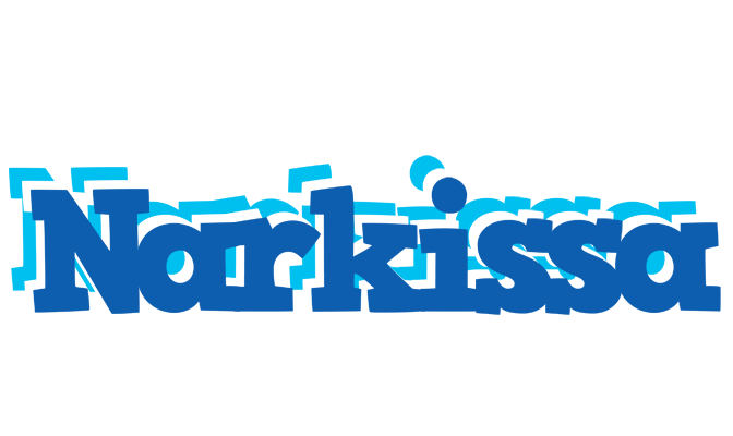 Narkissa business logo