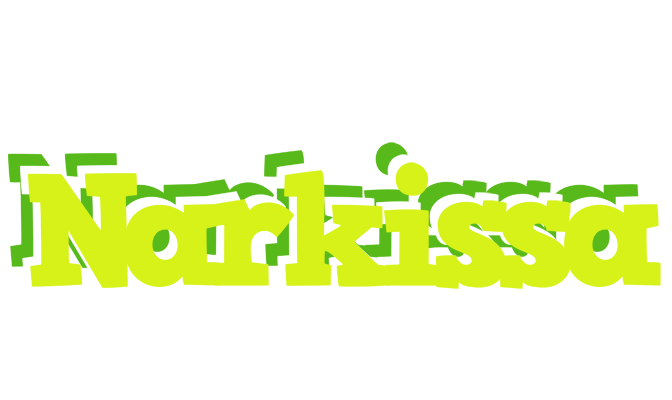 Narkissa citrus logo