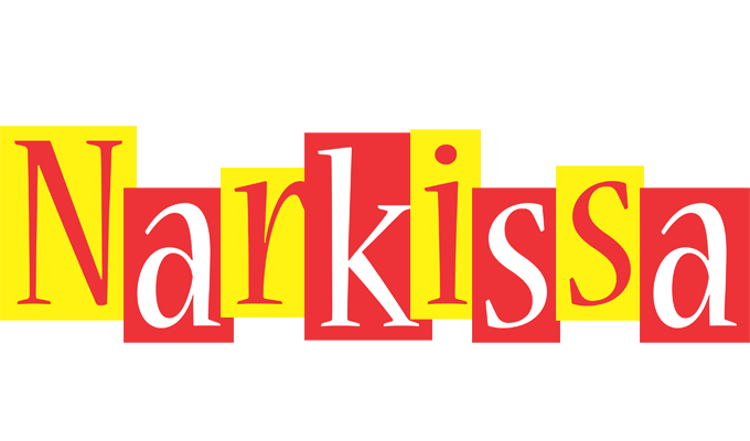 Narkissa errors logo