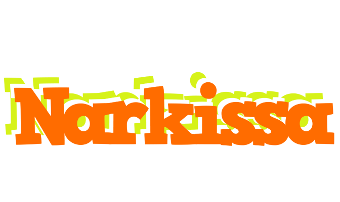 Narkissa healthy logo