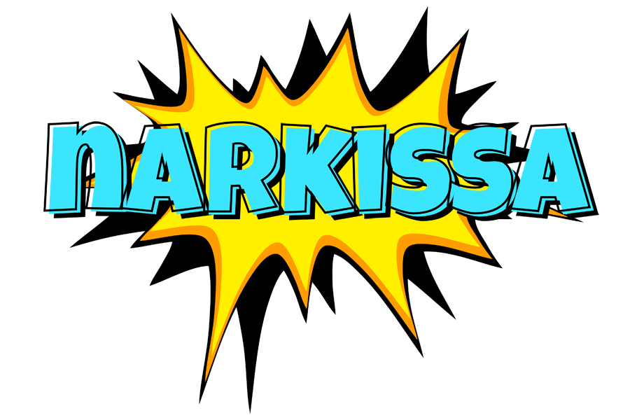Narkissa indycar logo