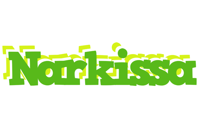 Narkissa picnic logo