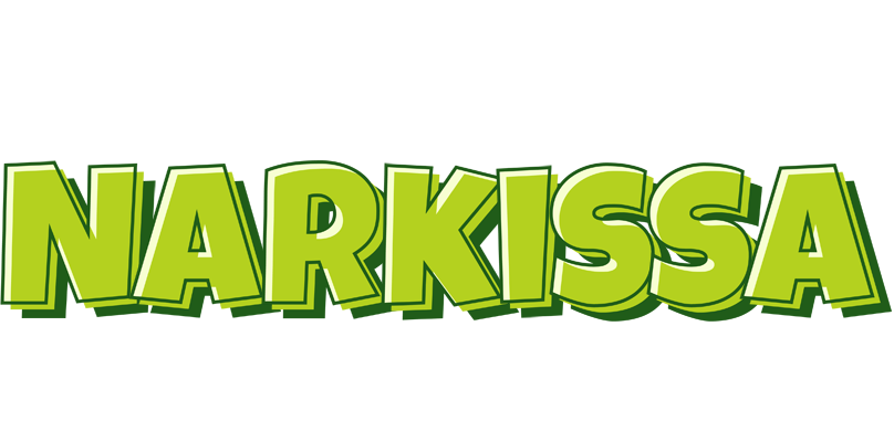 Narkissa summer logo