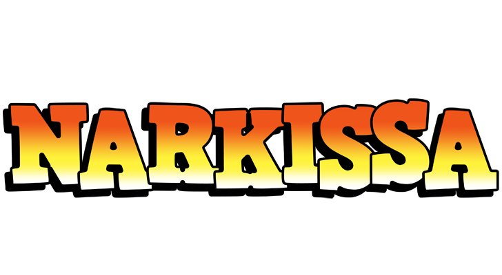 Narkissa sunset logo