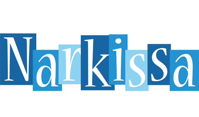 Narkissa winter logo
