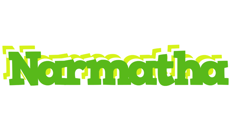 Narmatha picnic logo