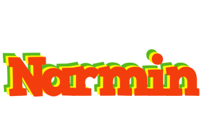 Narmin bbq logo