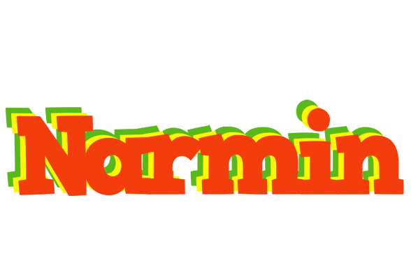 Narmin bbq logo