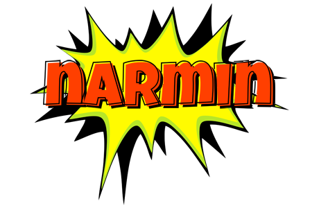 Narmin bigfoot logo