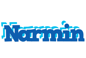 Narmin business logo