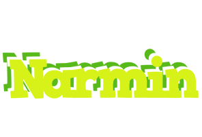 Narmin citrus logo