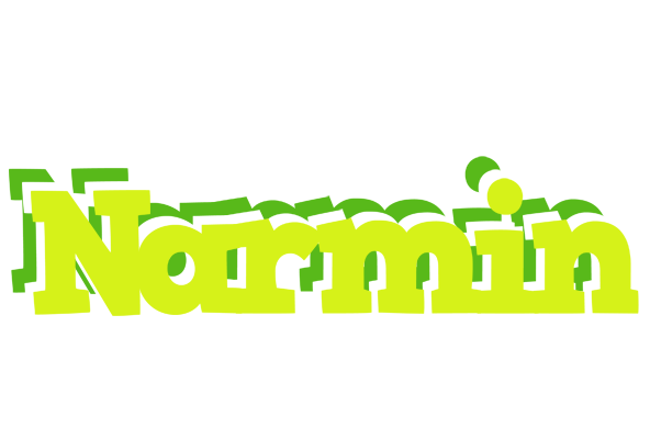 Narmin citrus logo