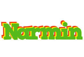 Narmin crocodile logo