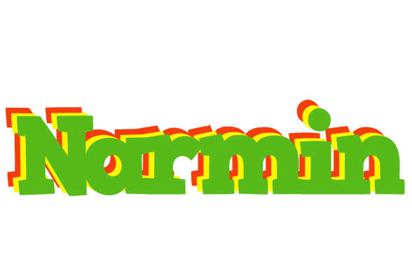 Narmin crocodile logo