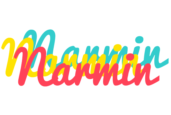 Narmin disco logo