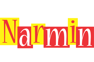 Narmin errors logo