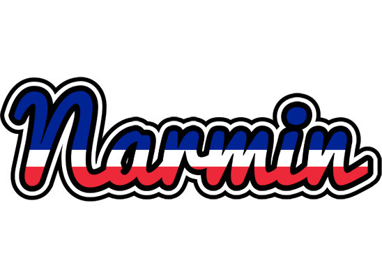 Narmin france logo