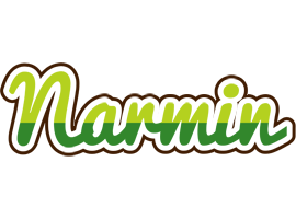 Narmin golfing logo