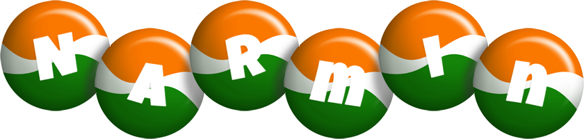 Narmin india logo