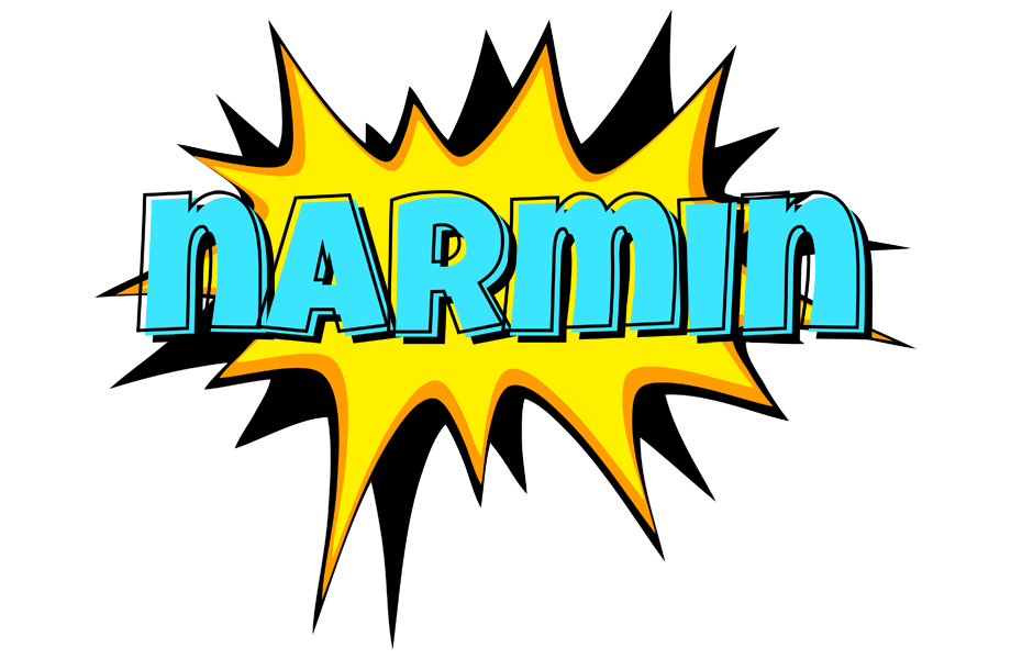 Narmin indycar logo