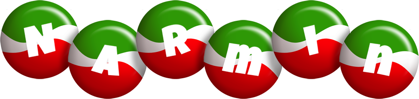 Narmin italy logo