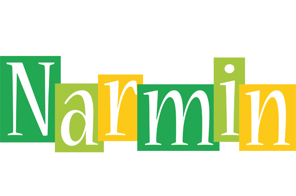Narmin lemonade logo