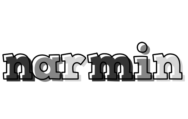 Narmin night logo