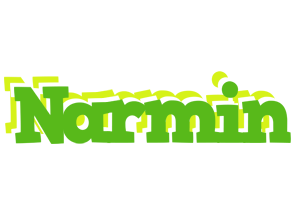 Narmin picnic logo