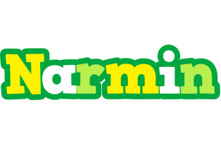 Narmin soccer logo