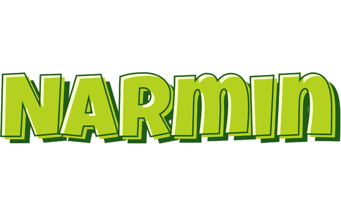 Narmin summer logo