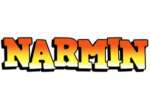 Narmin sunset logo