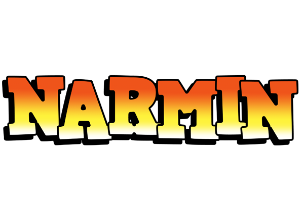 Narmin sunset logo