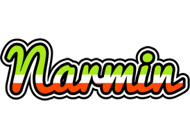 Narmin superfun logo