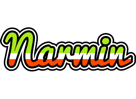 Narmin superfun logo