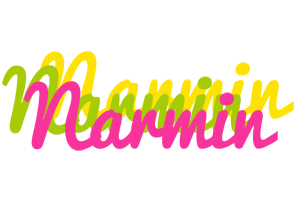 Narmin sweets logo