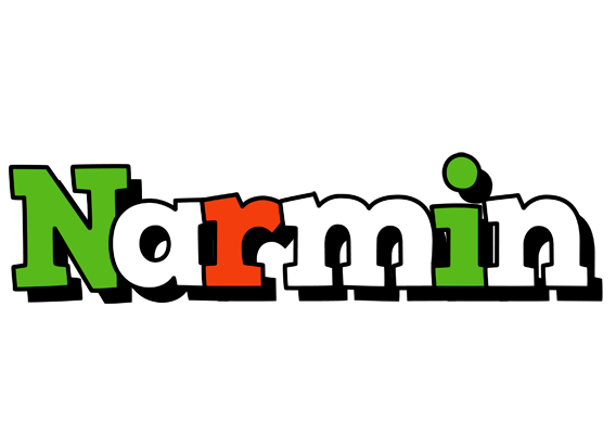 Narmin venezia logo