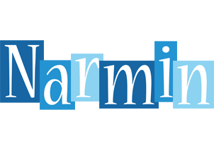 Narmin winter logo