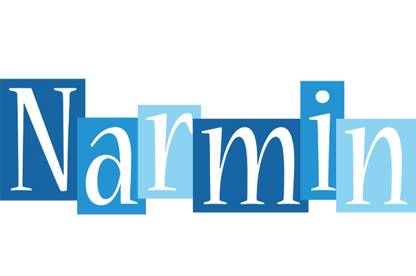 Narmin winter logo