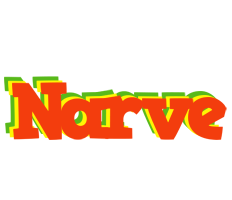 Narve bbq logo