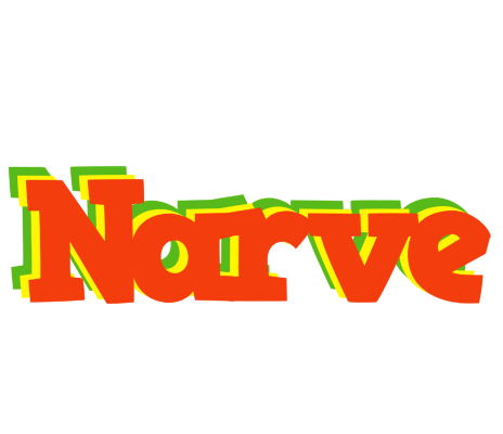 Narve bbq logo