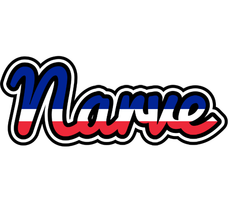 Narve france logo