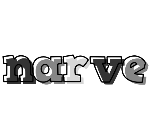 Narve night logo