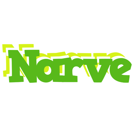 Narve picnic logo