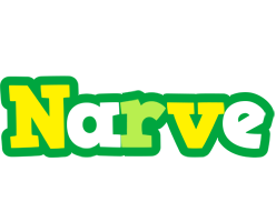 Narve soccer logo