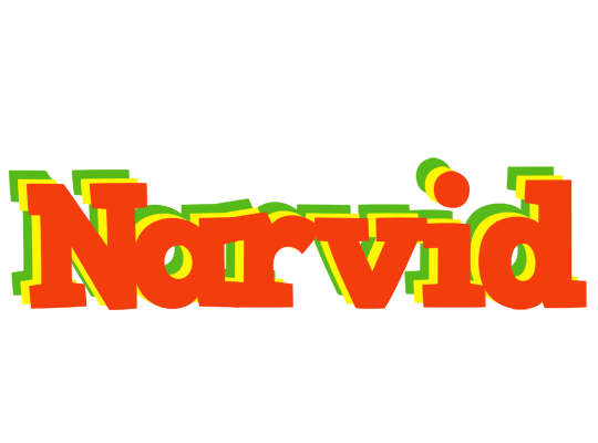 Narvid bbq logo